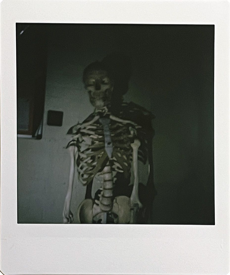 Polaroid 3