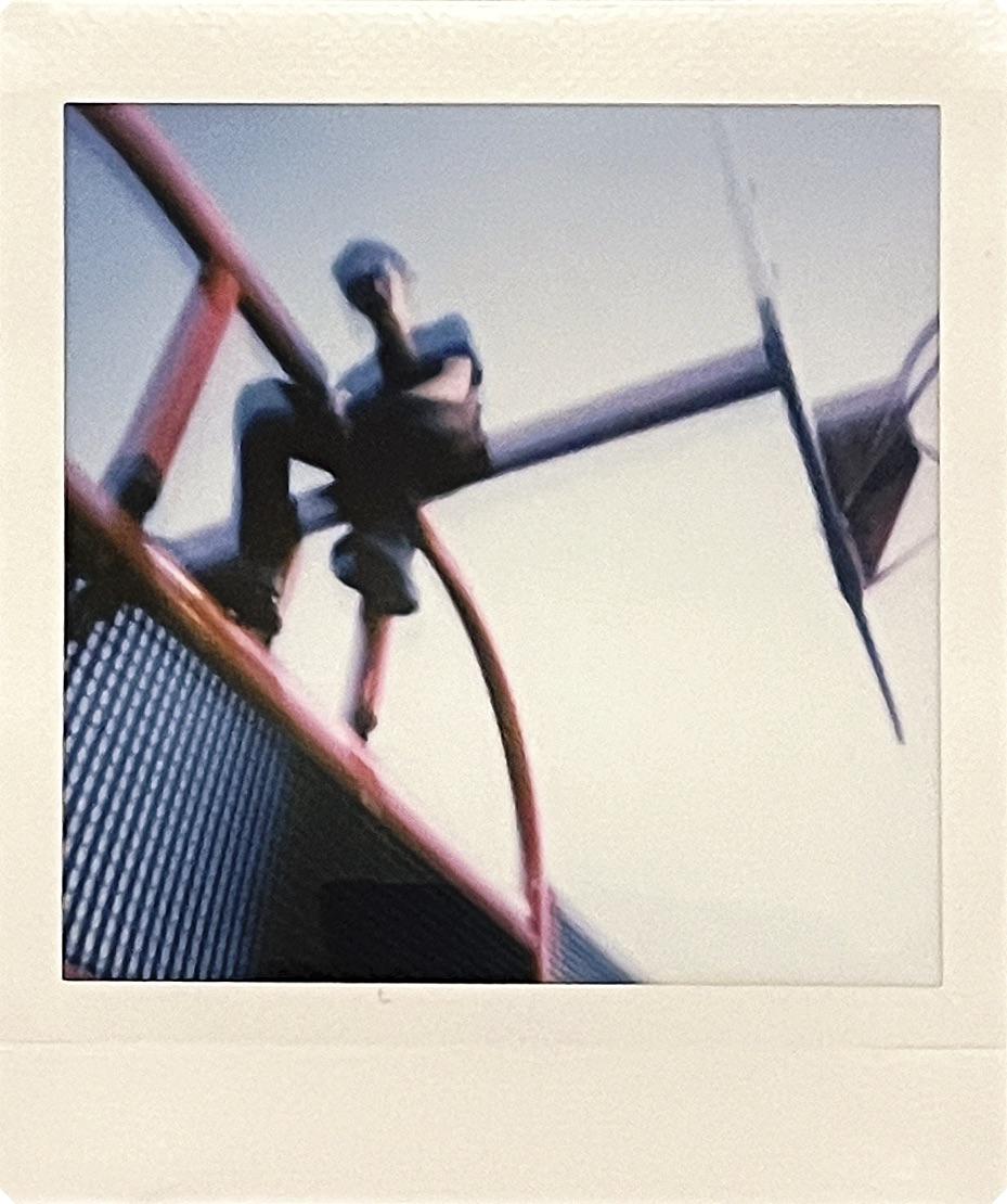 Polaroid 3