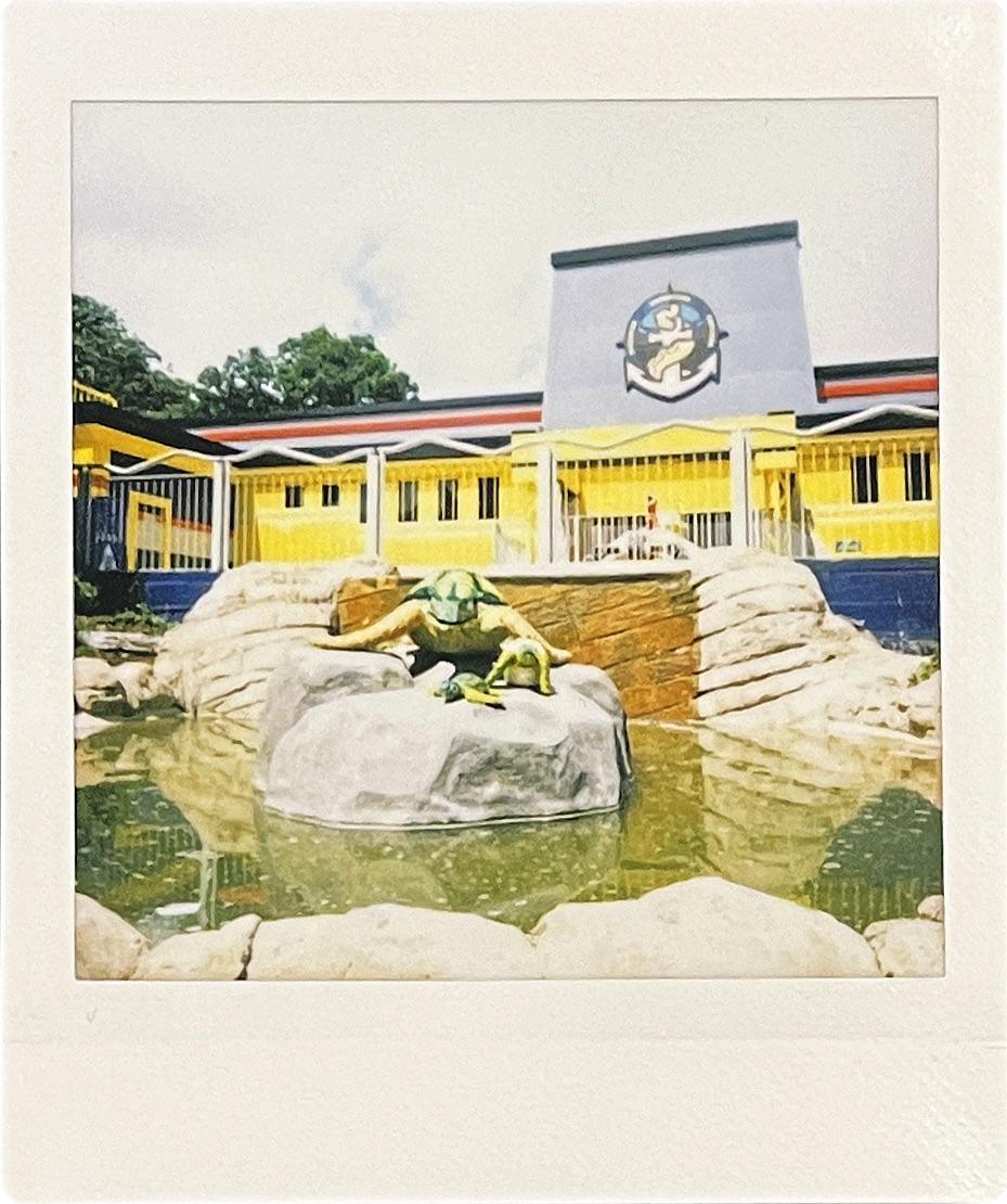 Polaroid 3