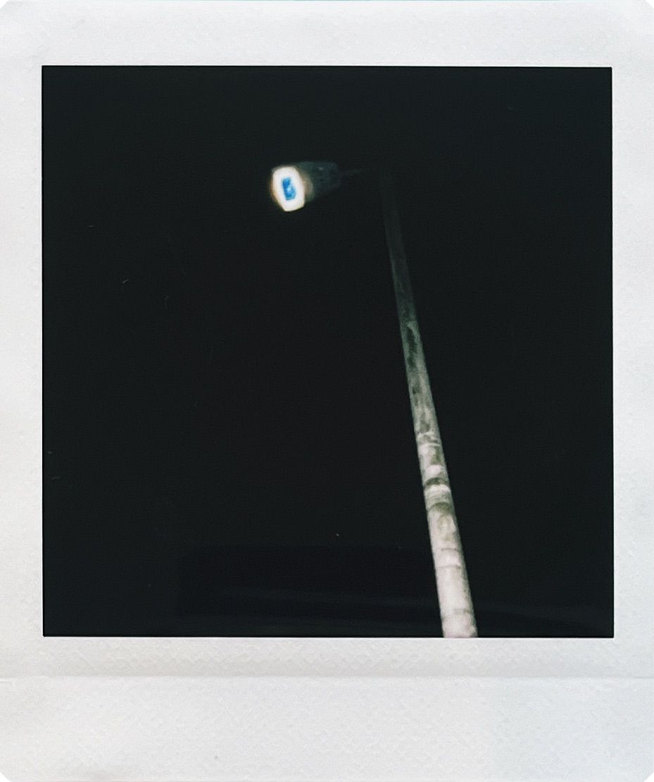 Polaroid 3