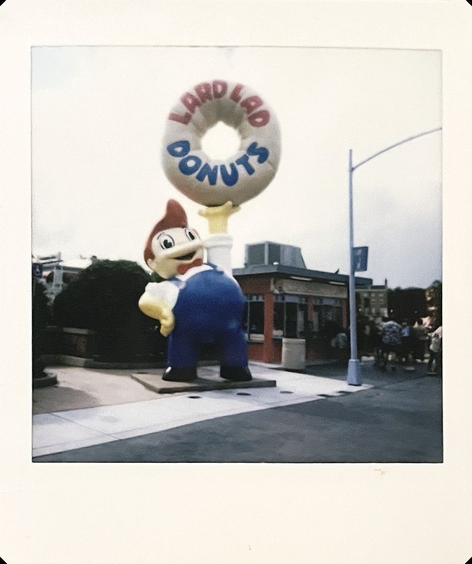 Polaroid 3