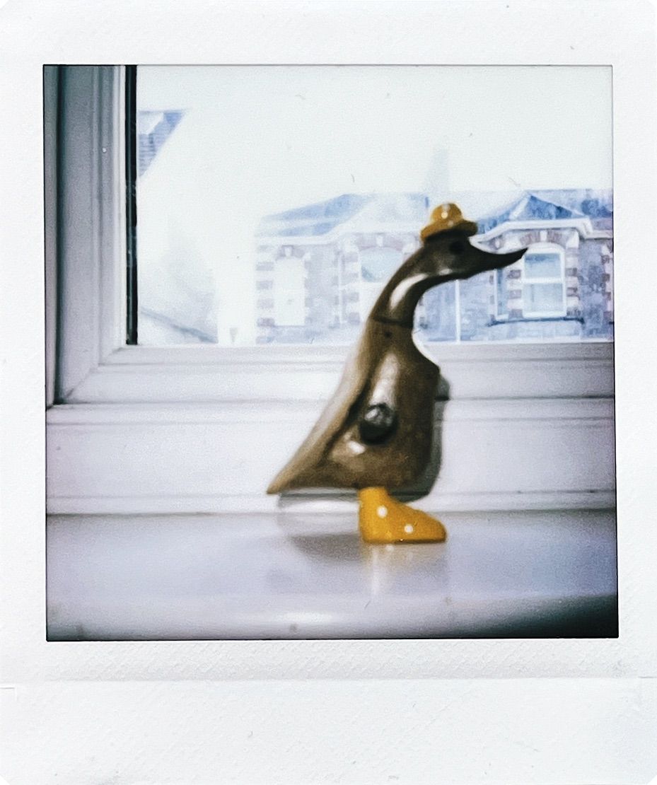 Polaroid 3