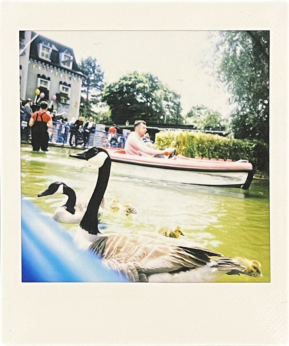 Duck in a Ride